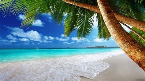 4k wallpaper beach|tropical beach wallpaper 4k.